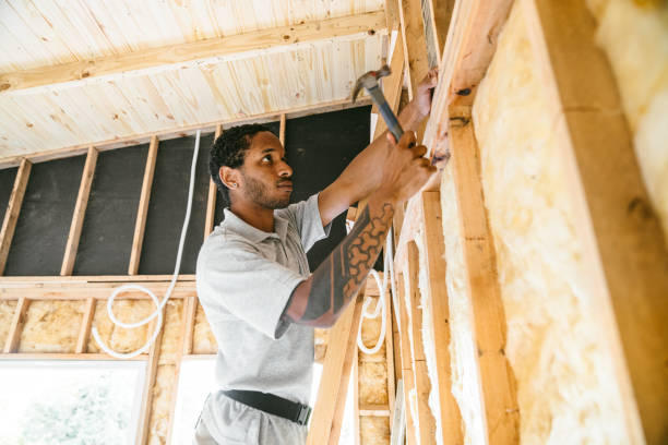 Reliable Edgard, LA Insulation Installation & Removal Solutions